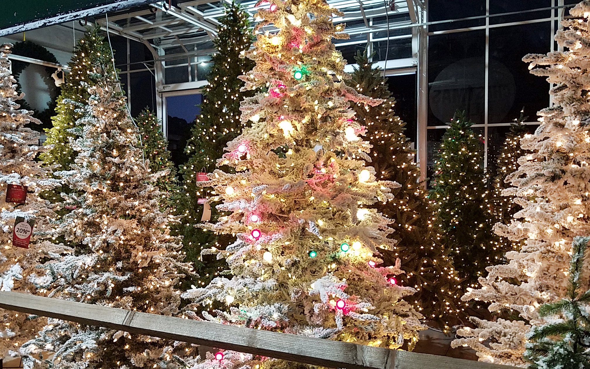 Athens Square Astoria NY A 27foot tall Christmas Tree is Coming